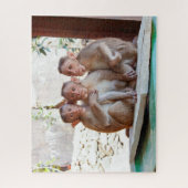 Puzzle Trois singes Ensemble Faune (Vertical)