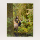 Puzzle Trois Vaches De Elk Roosevelt Regardant Vue (Vertical)