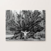 Puzzle Tronc Arbre de Sequioa Large Angle - 11x14 - 252 p (Horizontal)