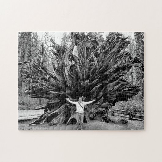 Puzzle Tronc Arbre de Sequioa Large Angle - 11x14 - 252 p (Horizontal)