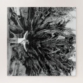 Puzzle Tronc Arbre de Sequioa Large Angle - 20x20 - 676 p (Horizontal)