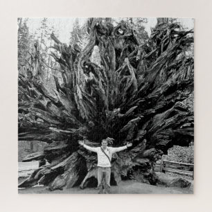 Puzzle Tronc Arbre de Sequioa Large Angle - 20x20 - 676 p