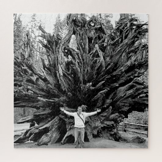 Puzzle Tronc Arbre de Sequioa Large Angle - 20x20 - 676 p (Vertical)
