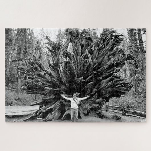 Puzzle Tronc Arbre de Sequioa Large Angle - 20x30 - 1014  (Horizontal)