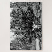 Puzzle Tronc Arbre de Sequioa Large Angle - 20x30 - 1014  (Vertical)