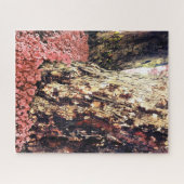 Puzzle troncs d'arbre (Horizontal)