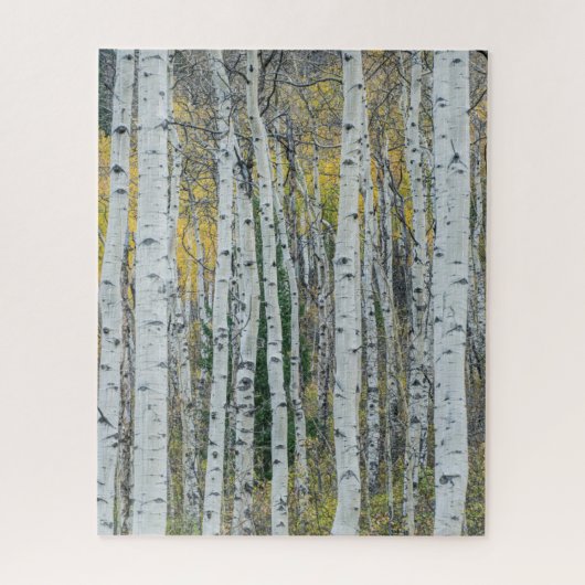 Puzzle Troncs d'arbre d'Aspen | Aspen, Colorado (Vertical)