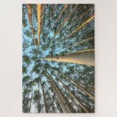 Puzzle Troncs et feuilles de tremble, Yukon (Vertical)