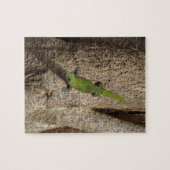 Puzzle tropical de gecko hawaïen (Horizontal)