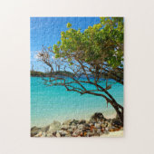 Puzzle tropical de St John USVI de baie de (Vertical)