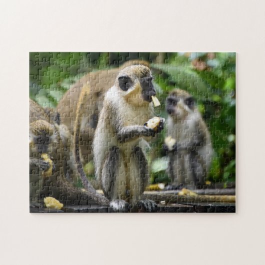 Puzzle tropical du singe sauvage de la Barbade (Horizontal)