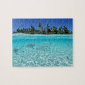 Puzzle Tropical Fish (Horizontal)