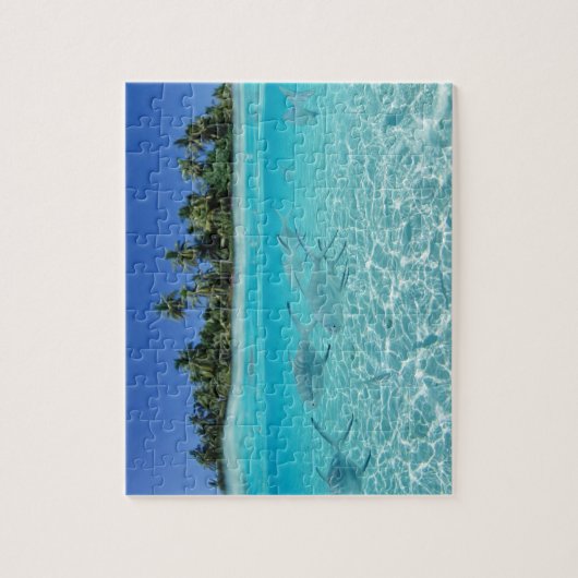 Puzzle Tropical Fish (Vertical)