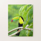 Puzzle Tropical Toucan (Vertical)