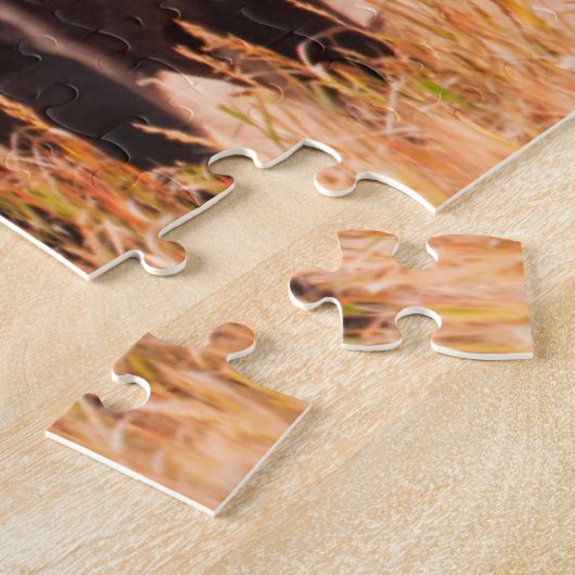 Puzzle Troupeau De Bison Américain (Bison Bison) À Teton  (Côté)