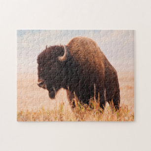 Puzzle Troupeau de bisons d'Amérique (Bison Bison) dans T