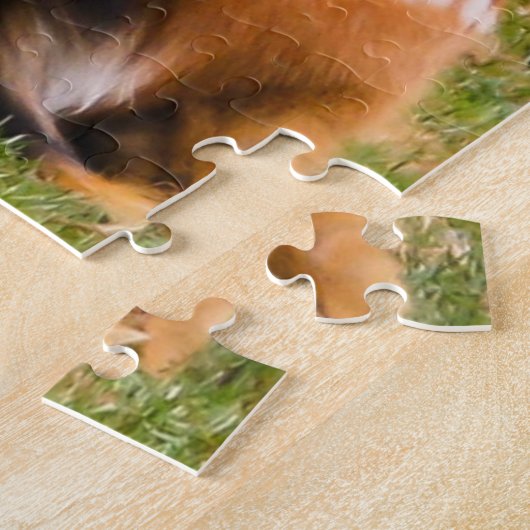 Puzzle Troupeau de cerfs dans l'herbe (Côté)