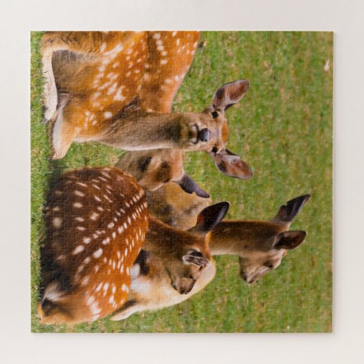 Puzzle Troupeau de cerfs dans l'herbe (Horizontal)
