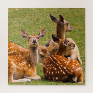Puzzle Troupeau de cerfs dans l'herbe