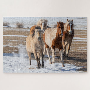 Puzzle Troupeau de chevaux de races mixtes courant dans l
