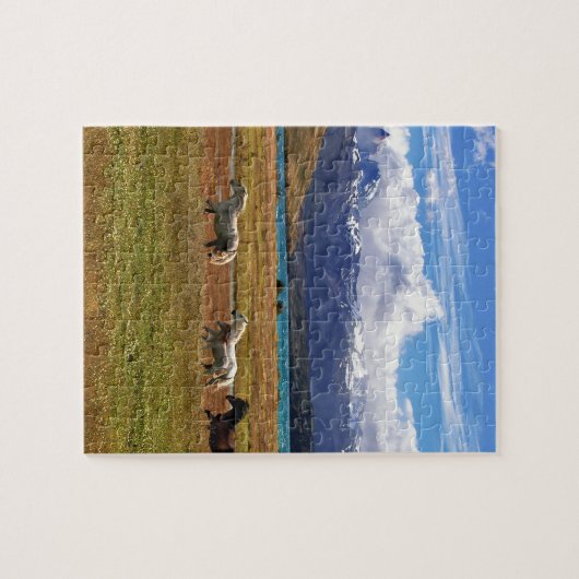 Puzzle Troupeau de Chevaux en pleine nature (Horizontal)