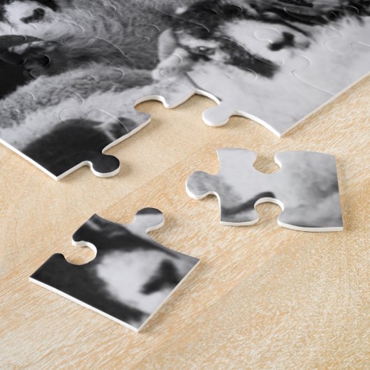 Puzzle Troupeau de mouton noir et blanc (Côté)