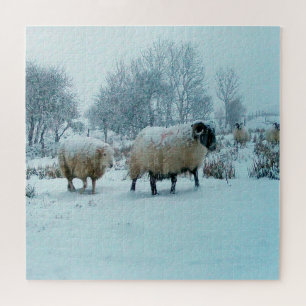 Puzzle Troupeau de moutons hivernal confortable sous une