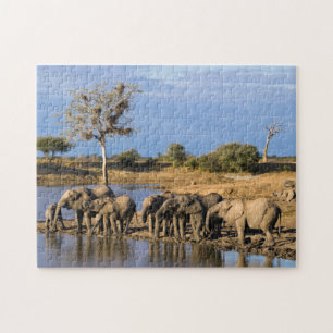 Puzzle Troupeau d'Éléphant de Savane d'Afrique (Loxodonta
