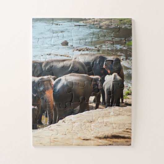 Puzzle Troupeau d'éléphants avec bébé dans l'eau (Vertical)