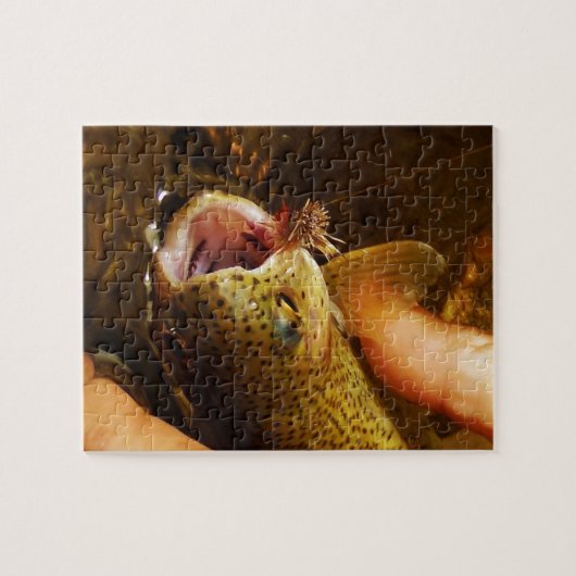 Puzzle Trout and Fly (Horizontal)