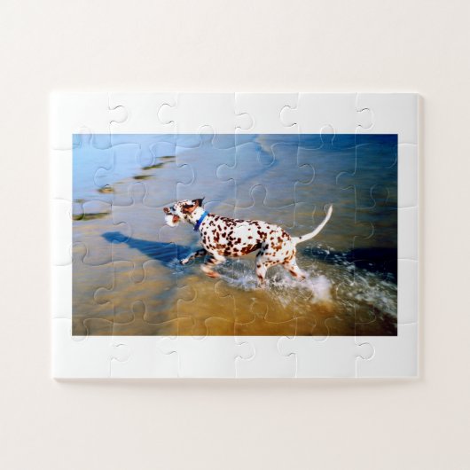 Puzzle Trouvez le chien dalmate (Horizontal)