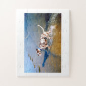 Puzzle Trouvez le chien dalmate (Vertical)