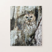 Puzzle Trouvez le hibou (Vertical)