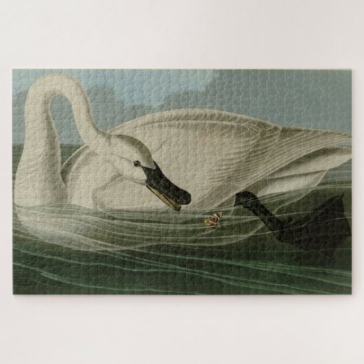 Puzzle Trumpeter Swan (Horizontal)
