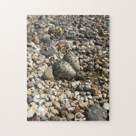 Puzzle Tuer Des Oeufs Dans Le Gravel (Vertical)