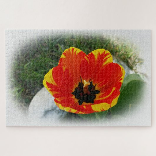 Puzzle Tuliforme jaune rouge (Horizontal)
