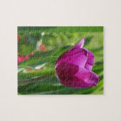 Puzzle Tulip Blossom (Horizontal)