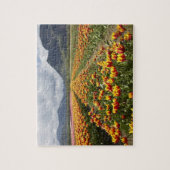 Puzzle Tulip Farm près d'Agassiz, Colombie-Britannique, (Vertical)