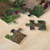 puzzle - Tulip Gardens (Côté)