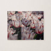 Puzzle Tulipe (Horizontal)