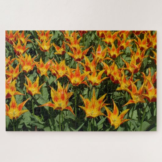 Puzzle Tulipe à fleur de lys "Fly away." Orange. (Horizontal)