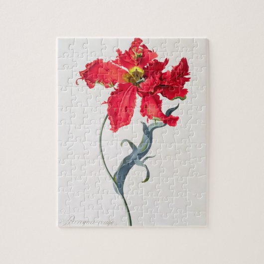 Puzzle Tulipe : Fard à joues de Perroquet (Vertical)