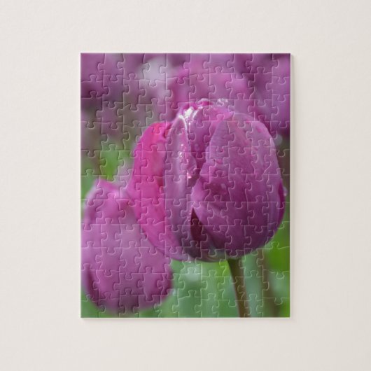 Puzzle Tulipe violette avec gouttes d'eau (Vertical)