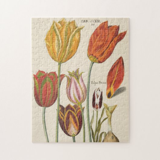 Puzzle Tulipes (Vertical)