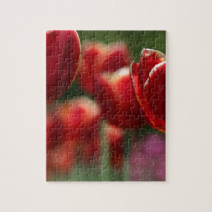 Puzzle Tulipes