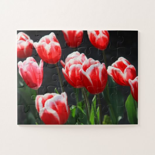 Puzzle Tulipes 30 pc (Horizontal)