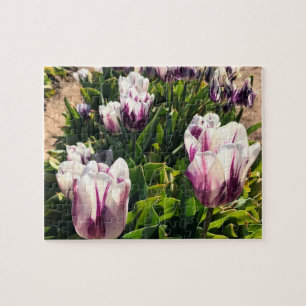 Puzzle Tulipes à rayures blanches et violettes