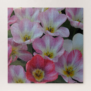 Puzzle Tulipes à ressort rose