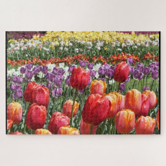Puzzle Tulipes colorées dans Bloom Elizabeth Park Hartfor (Horizontal)