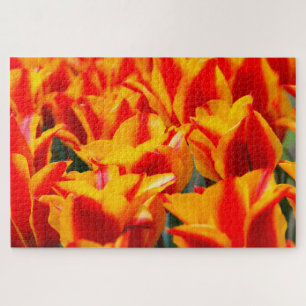 Puzzle Tulipes d'Amsterdam.